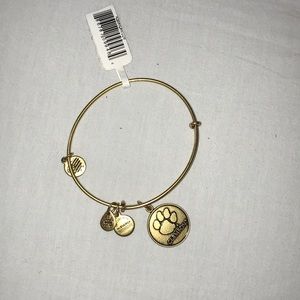 Alex and Ani Clemson Bangle